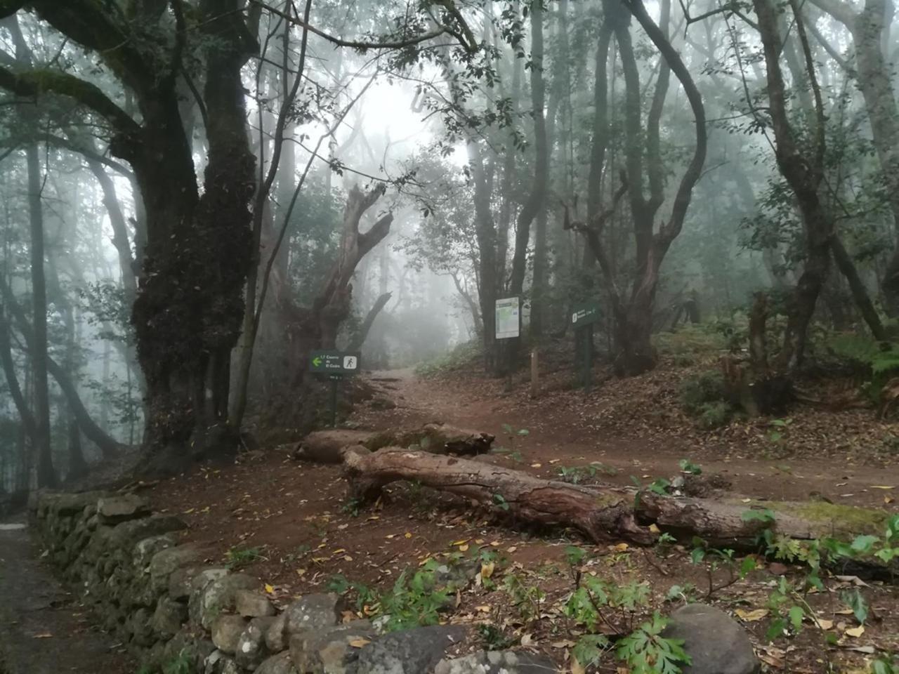 Casa Rural Finca La Maleza Agulo Eksteriør bilde