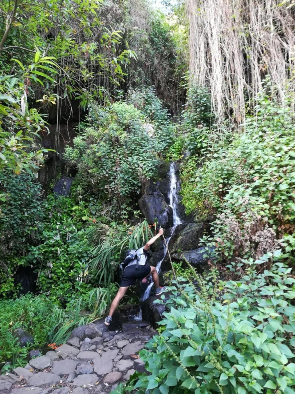Casa Rural Finca La Maleza Agulo Eksteriør bilde