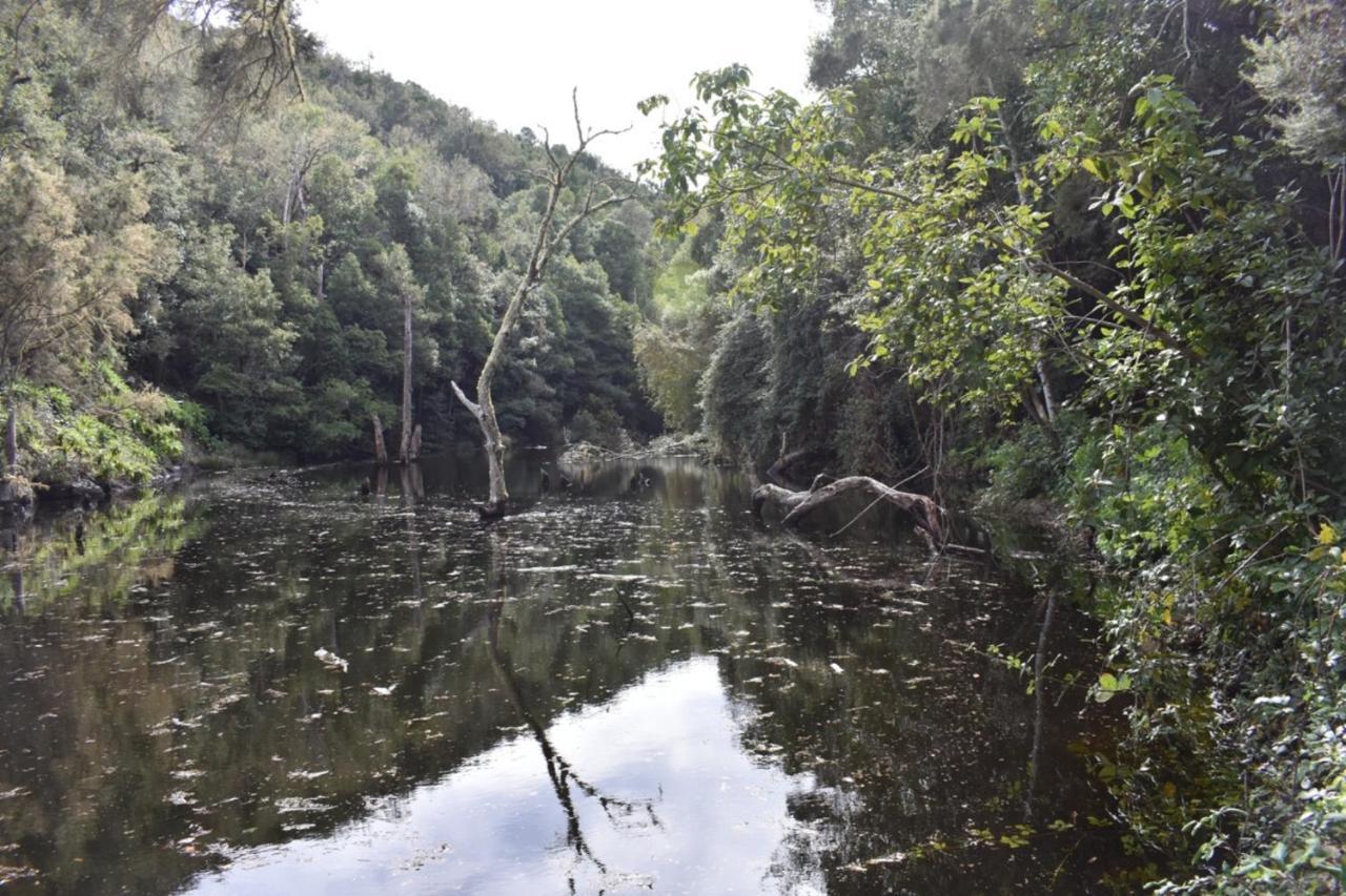 Casa Rural Finca La Maleza Agulo Eksteriør bilde