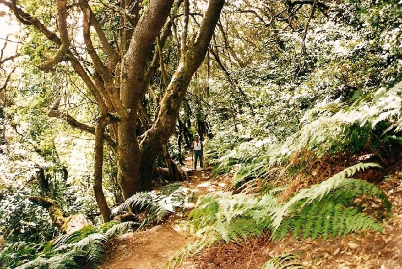 Casa Rural Finca La Maleza Agulo Eksteriør bilde